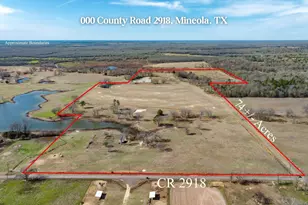 000 County Road 2918, Mineola, TX 75410 - Photo 1