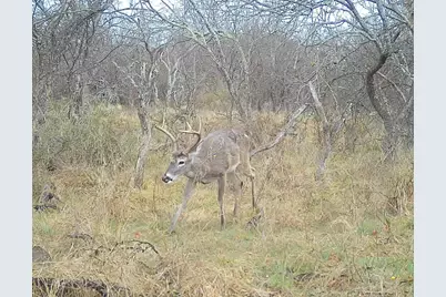 14725 Highway 183 N, Haltom City, TX 76857 - Photo 35