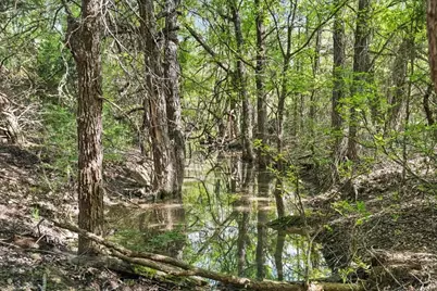 Tbd 252 Acres Dan Morgan Road, China Spring, TX 76633 - Photo 17