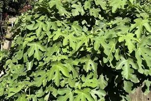 5620 Landsdown Dr, Waco, TX 76708 - Photo 35