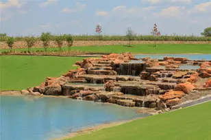 489 Pleasant Fld Dr, Lavon, TX 75166 - Photo 17