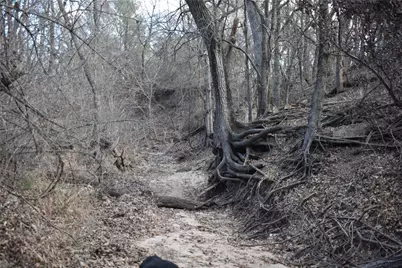 Tbd County Road 146, Lipan, TX 76462 - Photo 7