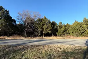 50 Forest Hills Dr, Gordonville, TX 76245 - Photo 1