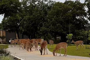 7421 Dawn Ave, Pilot Point, TX 76258 - Photo 3