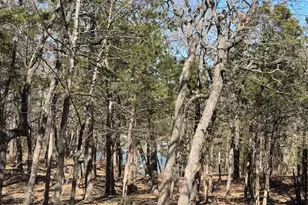 281 Westminister Dr, Pottsboro, TX 75076 - Photo 5