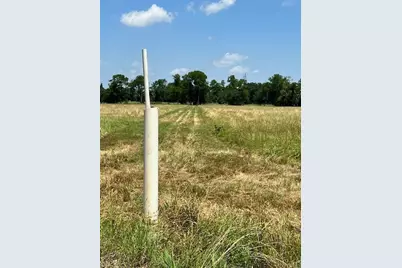 300 County Road 1118, Brashear, TX 75420 - Photo 7