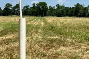 300 Co Rd 1118, Brashear, TX 75420 - Photo 7