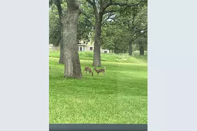 115 Bent Oak Road, Weatherford, TX 76086 - Photo 37