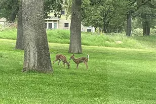 115 Bent Oak Rd, Weatherford, TX 76086 - Photo 37