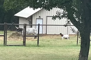 115 Bent Oak Rd, Weatherford, TX 76086 - Photo 37