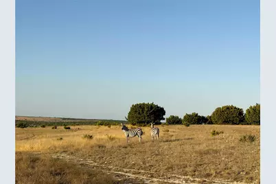 Tract 2 County Road 208, Lampasas, TX 76550 - Photo 3