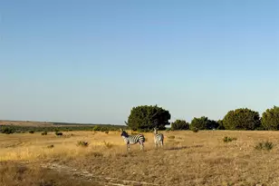 Tract 2 County Road 208, Lampasas, TX 76550 - Photo 3