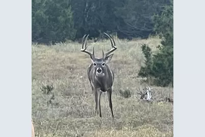 Tract 2 County Road 208, Lampasas, TX 76550 - Photo 29