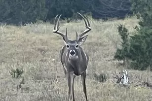 Tract 2 County Road 208, Lampasas, TX 76550 - Photo 29