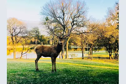 Tract 2 County Road 208, Lampasas, TX 76550 - Photo 1