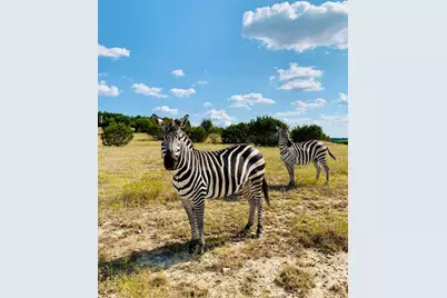 Tract 2 County Road 208, Lampasas, TX 76550 - Photo 9