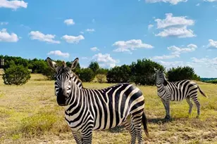 Tract 2 County Road 208, Lampasas, TX 76550 - Photo 9