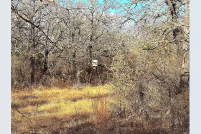 17101B Fm-920, Poolville, TX 76487 - Photo 33