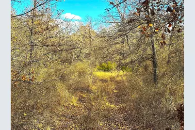 17101B Fm-920, Poolville, TX 76487 - Photo 11
