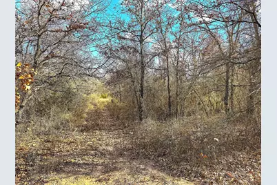 17101B Fm-920, Poolville, TX 76487 - Photo 17