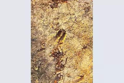 Tbd Turpin Lake Road, Poolville, TX 76487 - Photo 25