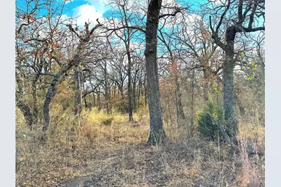 Tbd Turpin Lake Road, Poolville, TX 76487 - Photo 29