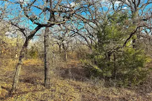 Tbd Turpin Lake Rd, Poolville, TX 76487 - Photo 1