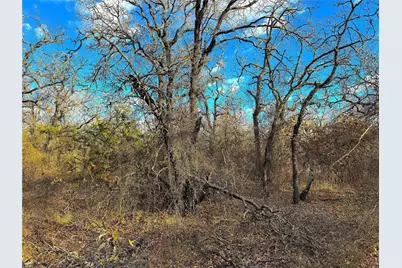 Tbd Turpin Lake Road, Poolville, TX 76487 - Photo 37