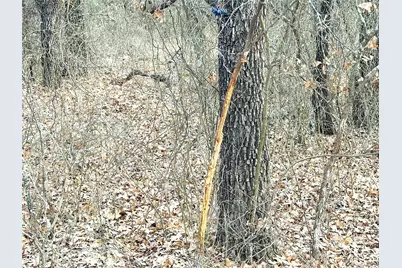 Tbd Turpin Lake Road, Poolville, TX 76487 - Photo 27