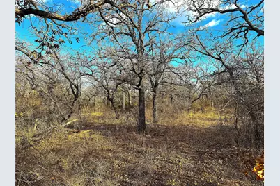 Tbd Turpin Lake Road, Poolville, TX 76487 - Photo 21