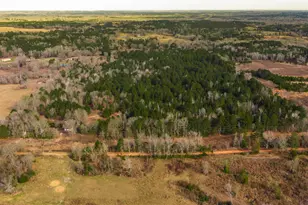 3662 Acr 359, Palestine, TX 75803 - Photo 27