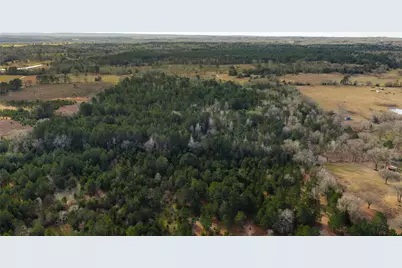 3662 Acr 359, Palestine, TX 75803 - Photo 33