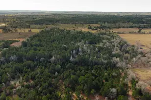 3662 Acr 359, Palestine, TX 75803 - Photo 33