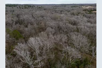 185 Sabine, Bullard, TX 75757 - Photo 23