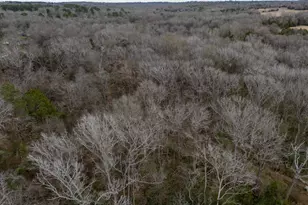 185 Sabine, Bullard, TX 75757 - Photo 23