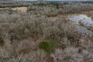 185 Sabine, Bullard, TX 75757 - Photo 25