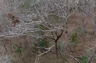 185 Sabine, Bullard, TX 75757 - Photo 17