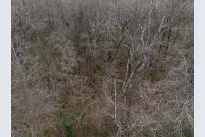 185 Sabine, Bullard, TX 75757 - Photo 19