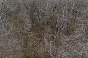 185 Sabine, Bullard, TX 75757 - Photo 19