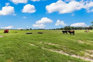 1517 County Rd Southwest 3170, Winnsboro, TX 75494 - Photo 31