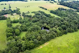 1517 County Rd Southwest 3170, Winnsboro, TX 75494 - Photo 33