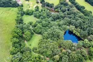 1517 County Rd Southwest 3170, Winnsboro, TX 75494 - Photo 37