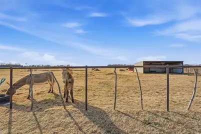 10917 County Road 290, Anna, TX 75409 - Photo 29
