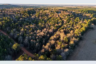 0 W County Road 3310, Jacksonville, TX 75766 - Photo 7