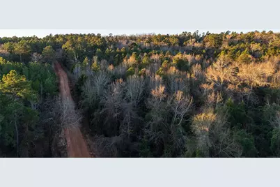 0 W County Road 3310, Jacksonville, TX 75766 - Photo 3