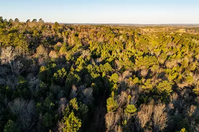 0 W County Road 3310, Jacksonville, TX 75766 - Photo 23