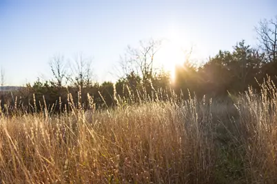 0 W County Road 3310, Jacksonville, TX 75766 - Photo 35