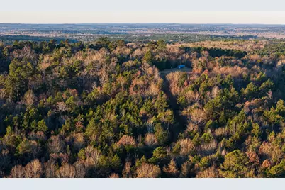 0 W County Road 3310, Jacksonville, TX 75766 - Photo 9