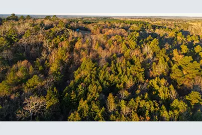 0 W County Road 3310, Jacksonville, TX 75766 - Photo 19