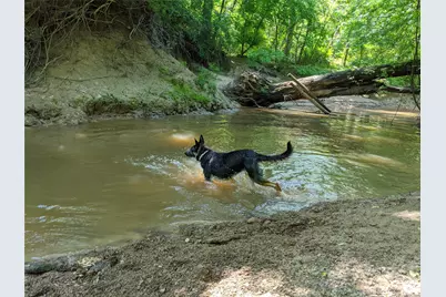 6155 Farm Road 3019, Winnsboro, TX 75494 - Photo 9